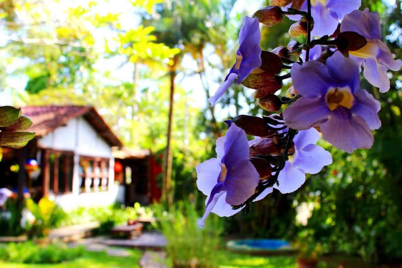Recanto Das Andorinhas Studios ปาราตี ภายนอก รูปภาพ